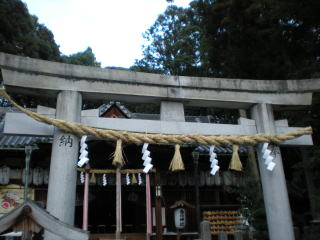 fuyumiyasai2